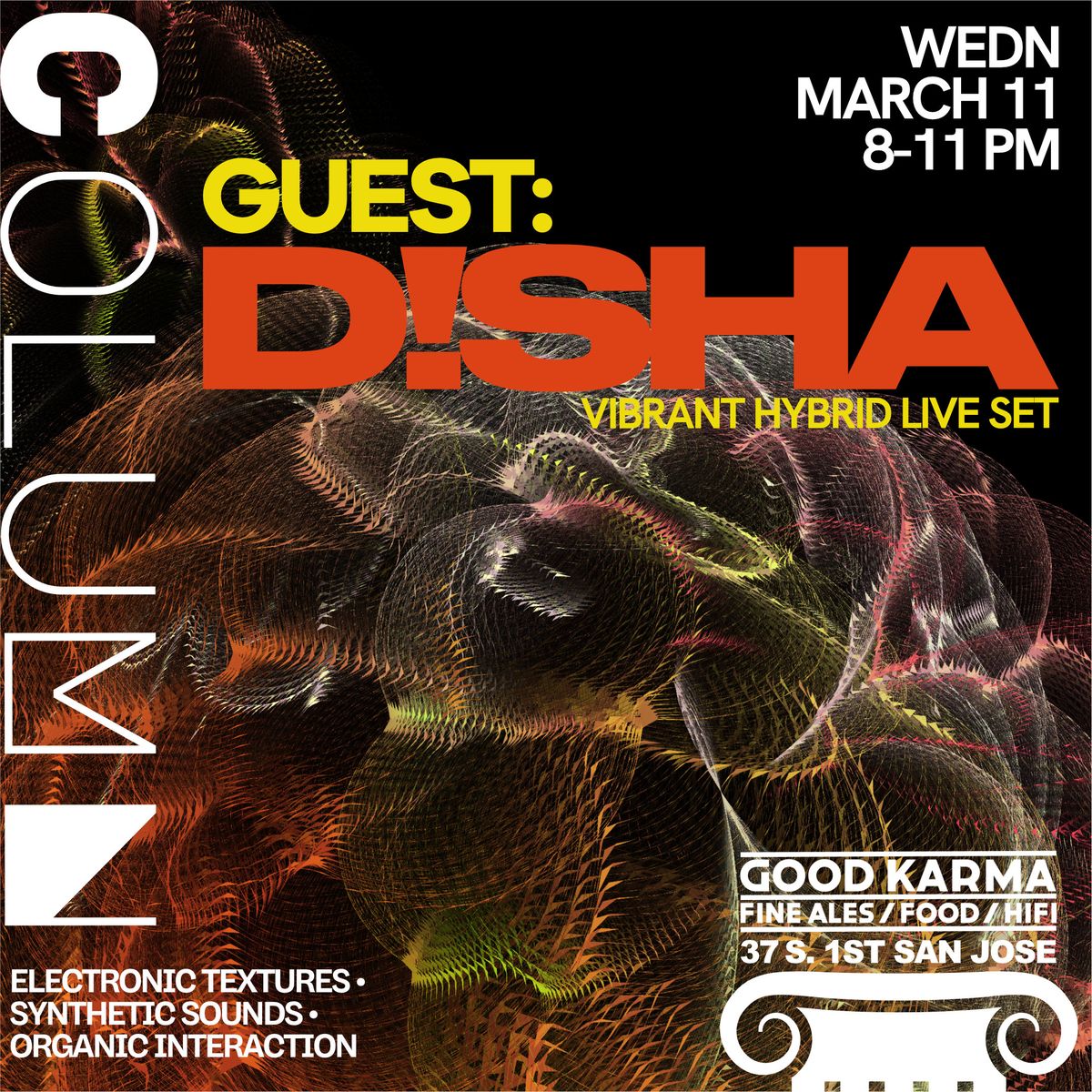 D!SHA: Hybrid DJ poster
